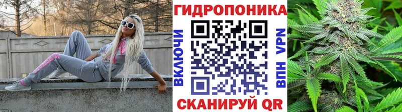 Шишки марихуана план Сосновка